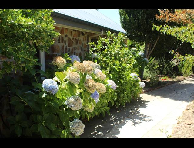 86HA FARM FOR SALE IN CERES RURAL